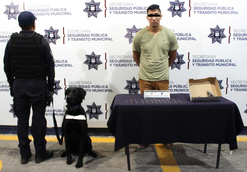 Unidad canina de la SSPTM Puebla detuvo a persona por portación ilegal de arma de fuego