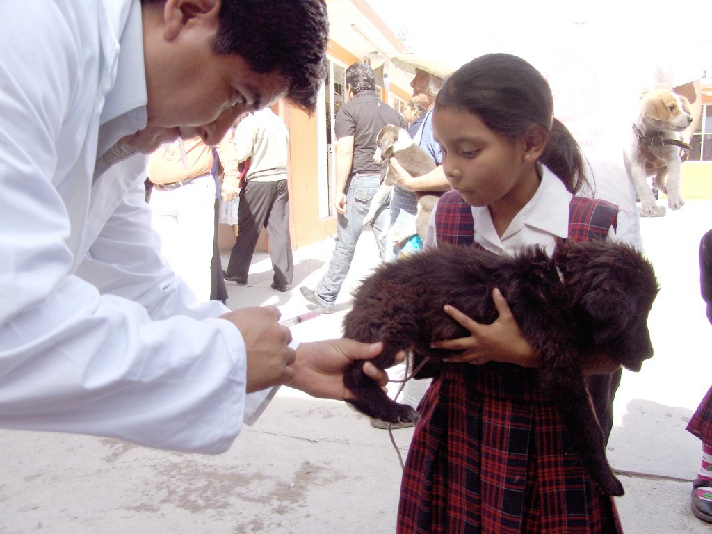 Realiza SESA campañas de esterilización de mascotas en municipios