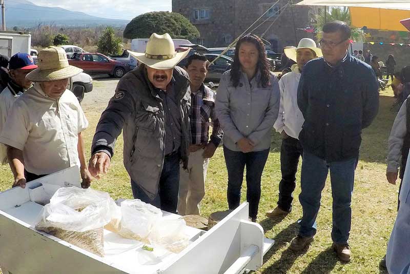 Presenta SEFOA resultados de capacitación en la cadena de ovinos