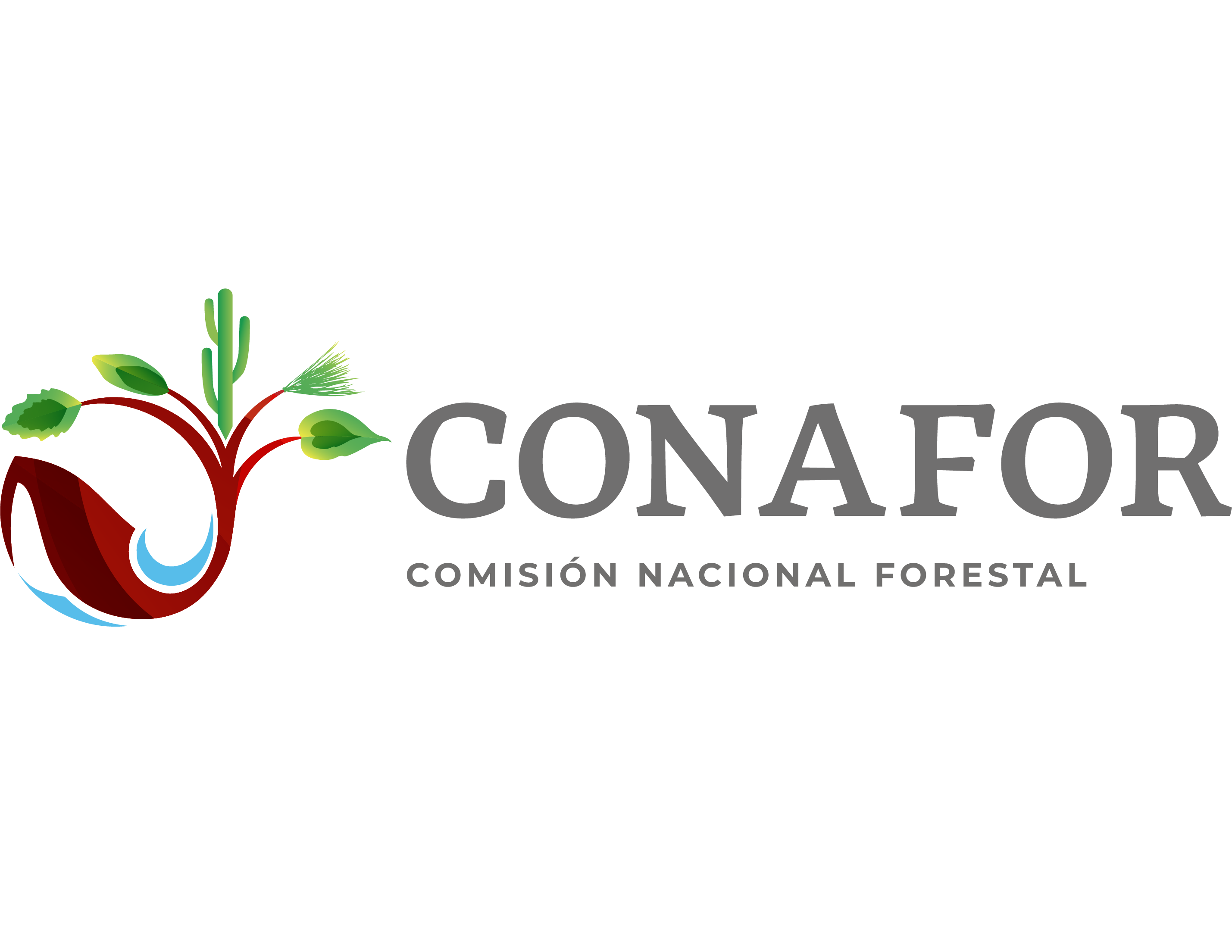 110 incendios forestales en Puebla hasta el 7 de marzo de 2019