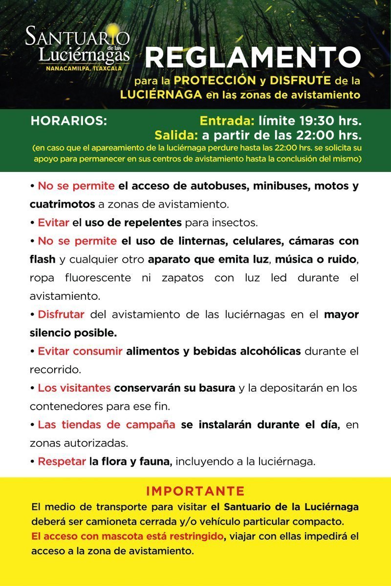 Emite SECTURE reglamento y recomendaciones para avistamiento de luciérnagas