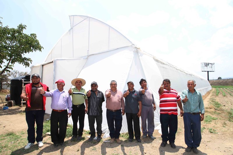 Invierte SEFOA más de 1.5 mdp en rehabilitación de invernaderos