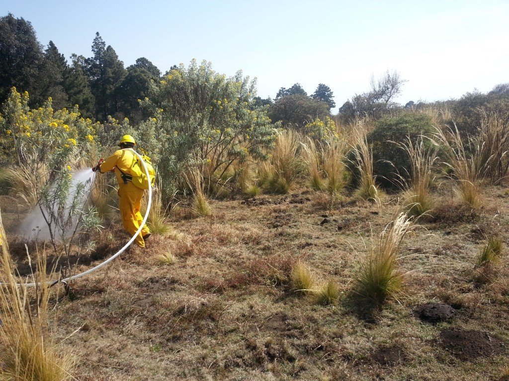Estadística de incendios forestales al 20 de junio