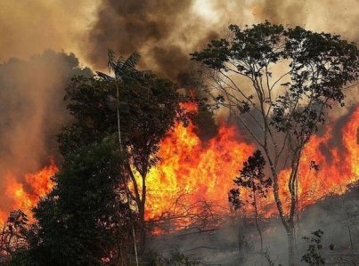 G7 acuerda ayuda urgente de 20 mdd para combatir fuego en Amazonia