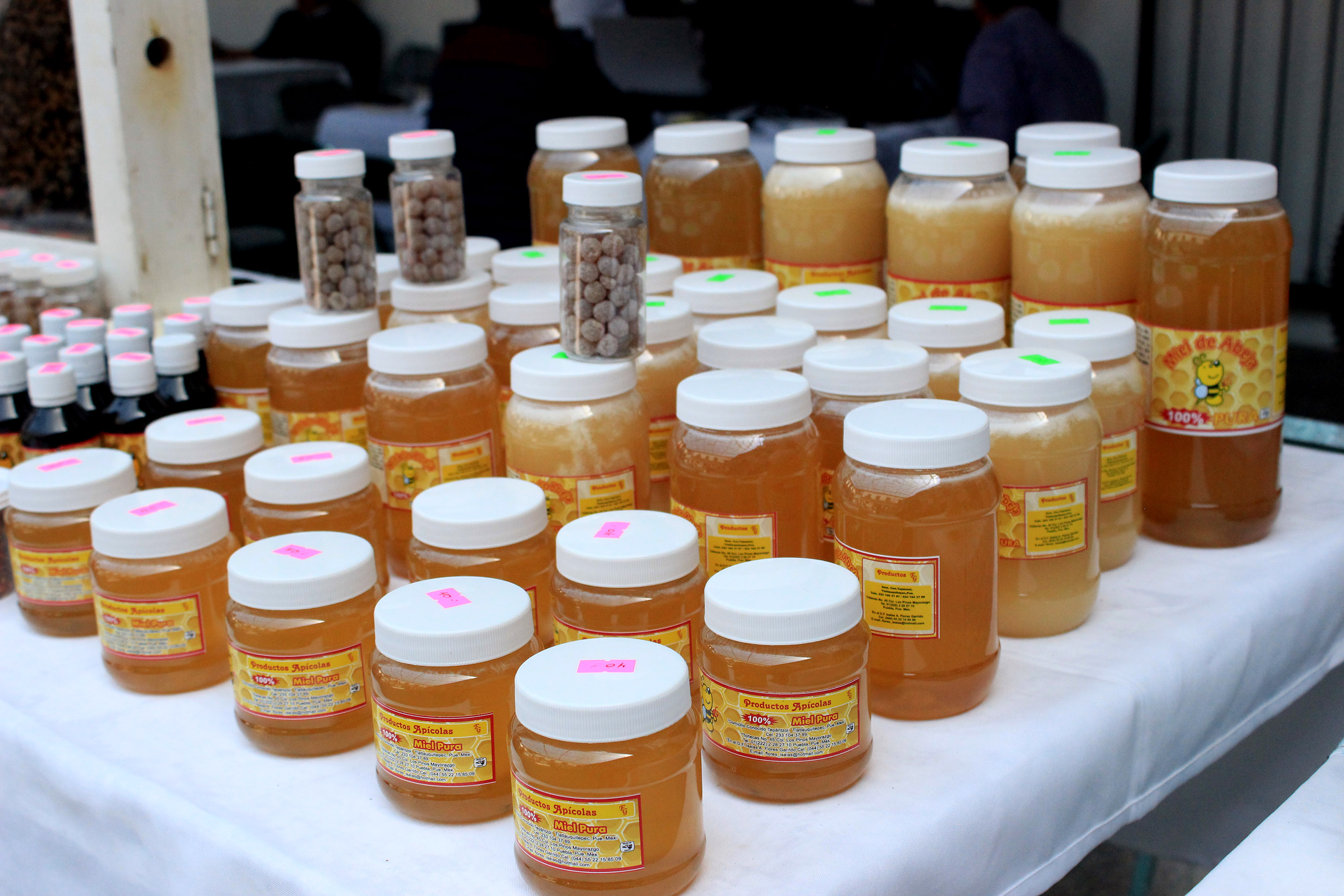 Promueve SDR producción de miel y protección de abejas