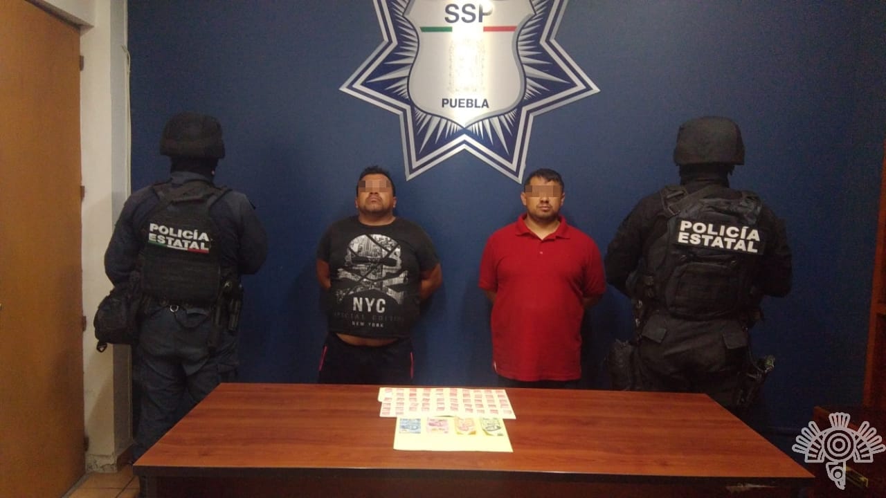 Detiene SSP a “Los Pollos”, presuntos sicarios y narcomenudistas al servicio de la esposa de “El Grillo”