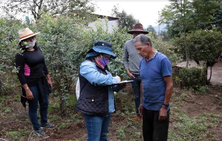 Impulsa SDR a productoras y productores de blueberry para obtener certificación