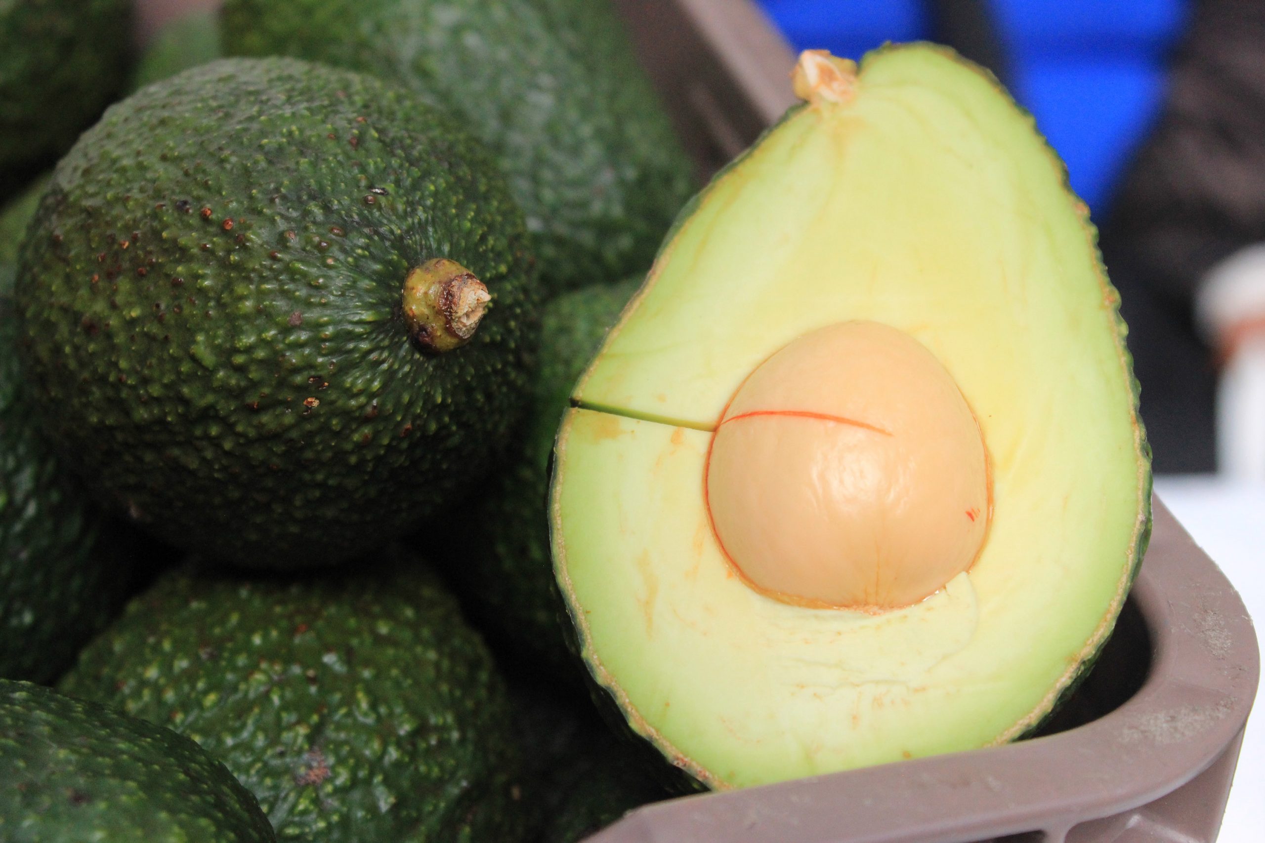 Lanza Desarrollo Rural convocatoria de reconversión productiva