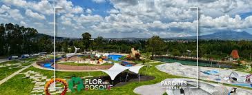 Resguardará Gobierno del Estado 687 hectáreas en «Flor del Bosque»