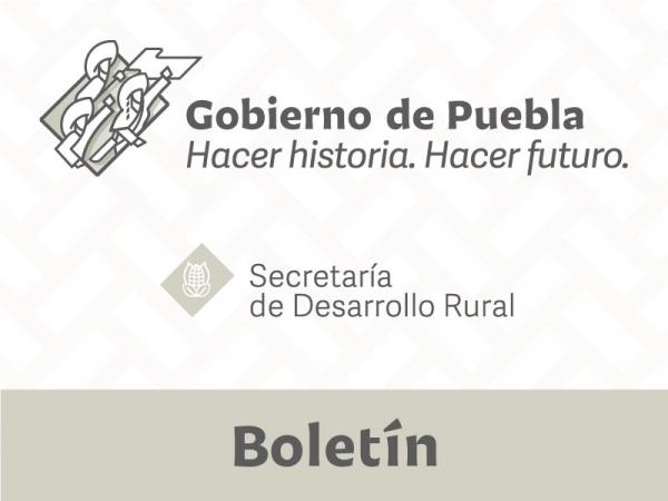 Entrega SDR indemnización a productoras y productores afectados por granizo en Tecamachalco