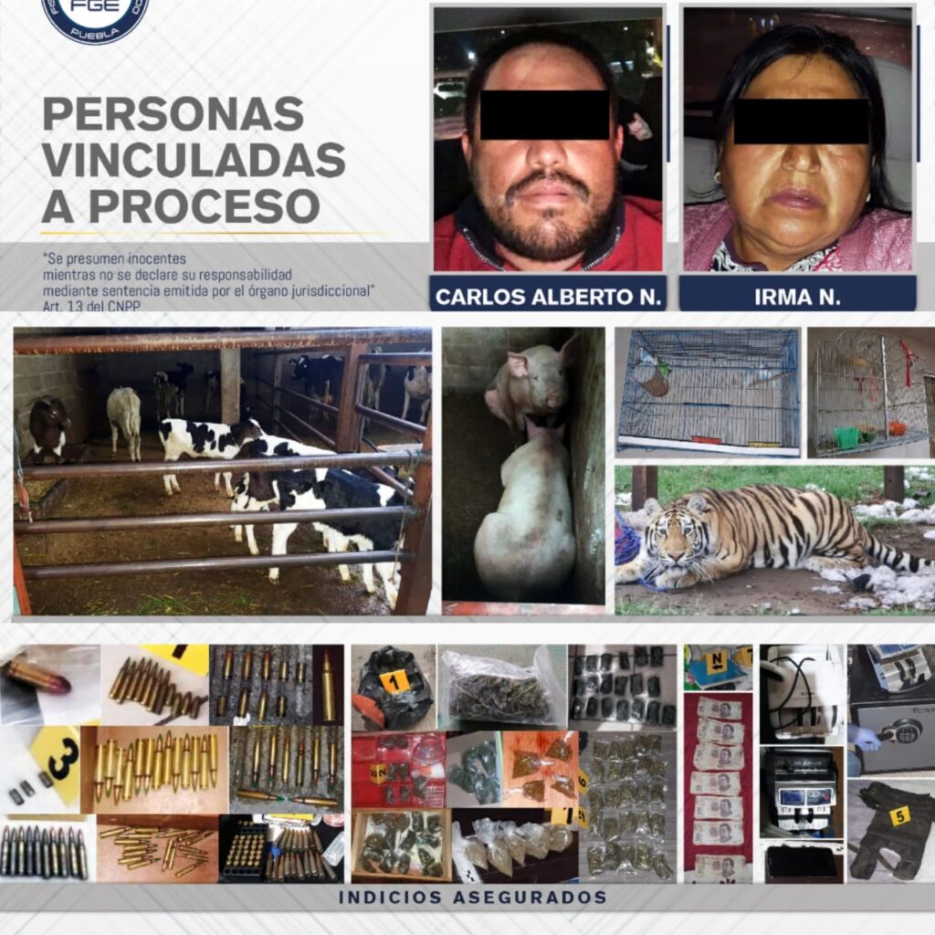 Fiscalía Puebla cateó 4 inmuebles relacionados con “El Loco Téllez”