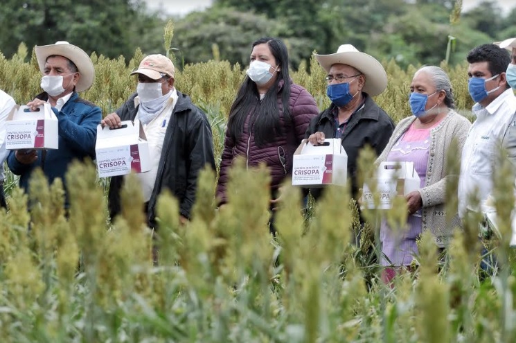 Invierte SDR en control de plagas con métodos biológicos