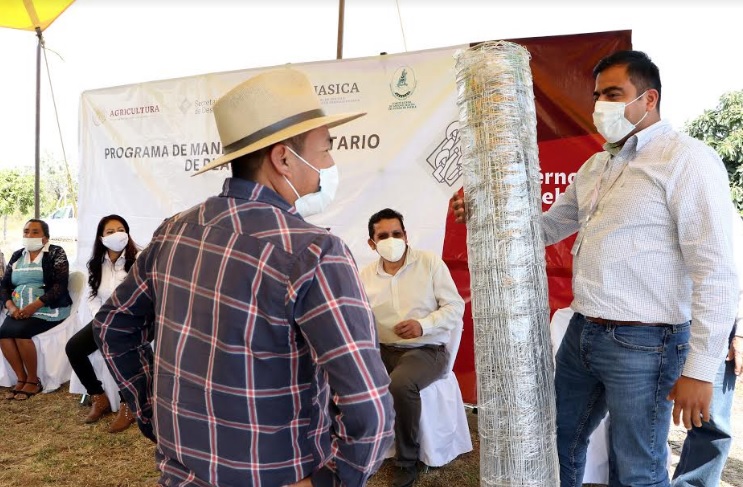 Entrega SDR paquetes de reducción de riesgos sanitarios para aguacate