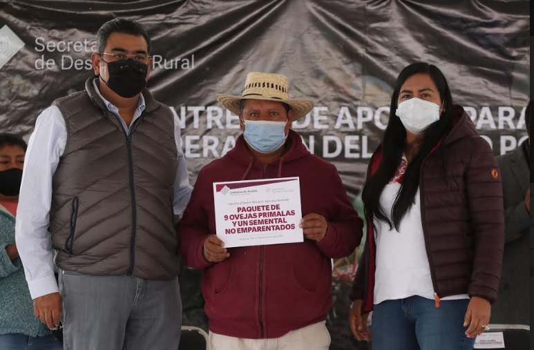 Apoyos para el campo poblano son a las necesidades de los productores: Altamirano