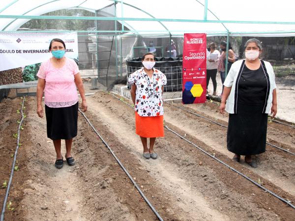 Rescata Gobierno del Estado al campo poblano