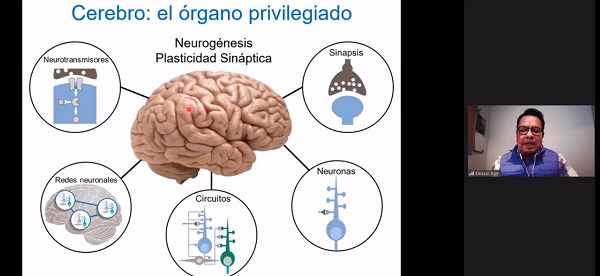 La inflamación, un factor común en daño neuronal