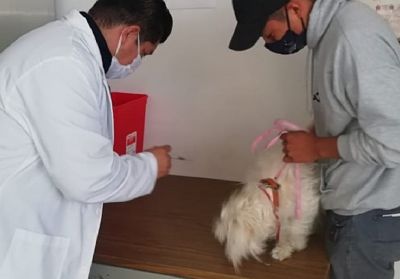 OFRECE ATENCIÓN INTEGRAL MÓDULO CANINO DE SESA