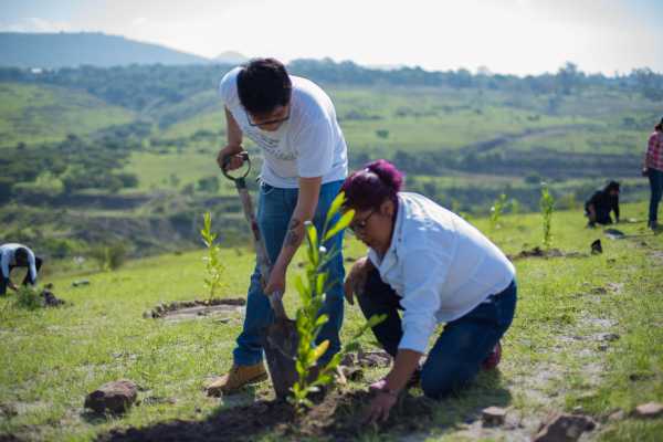 Imparte BUAP Diplomado en Educación para el Desarrollo Sostenible