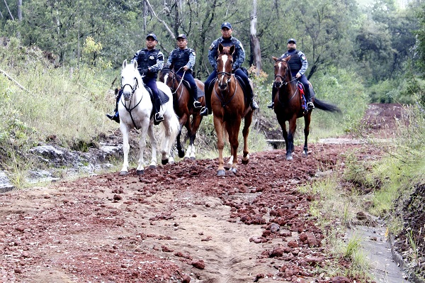 Frenan tala y permisos para construcción de fraccionamientos en Flor del Bosque