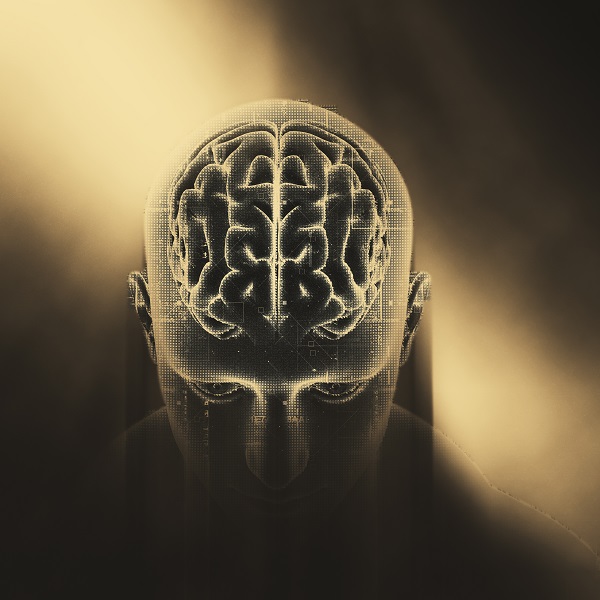 Cómo el ejercicio físico puede ayudarnos a crear nuevas neuronas y a mejorar la memoria