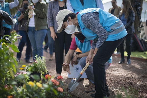 Ponen en marcha jardines y andadores polinizadores en la BUAP