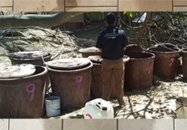 Desmantelan narcolaboratorios supuestamente pertenecientes al Cártel de Sinaloa