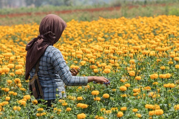 Salario de mexicanas en EU vale 20.3% del PIB nacional