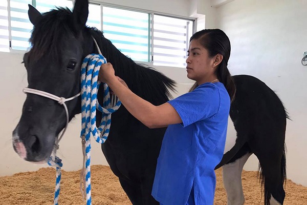 La Facultad de Medicina Veterinaria y Zootecnia de la BUAP celebra su 50 aniversario