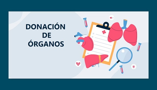 Después de la pandemia, es importante impulsar la donación de órganos
