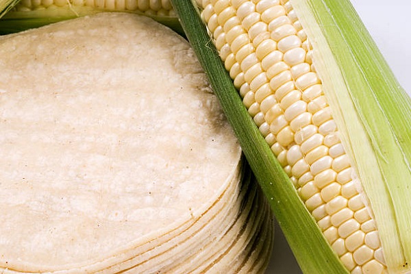 México analizará la presencia de maíz transgénico en tortillas