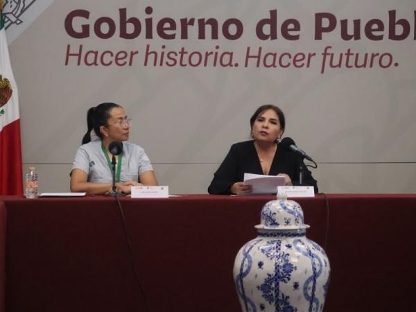 Nada justifica la violencia contra animales, reitera Medio Ambiente