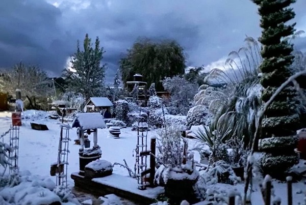 Reportan caída de nieve en Durango y Zacatecas