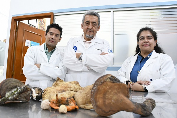 Rescatan saberes ancestrales sobre hongos silvestres en La Malinche