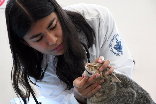 El Hospital de Pequeñas Especies de la BUAP, semillero de egresados