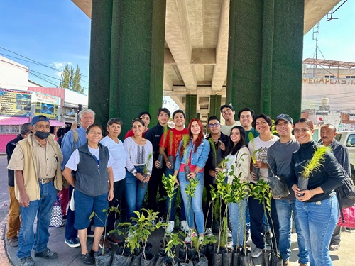 Reforestación masiva impulsa espacios verdes en Puebla
