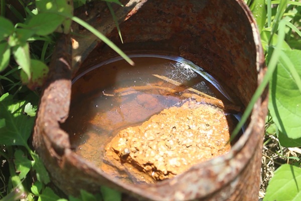Tehuacán tiene más casos de dengue en Puebla