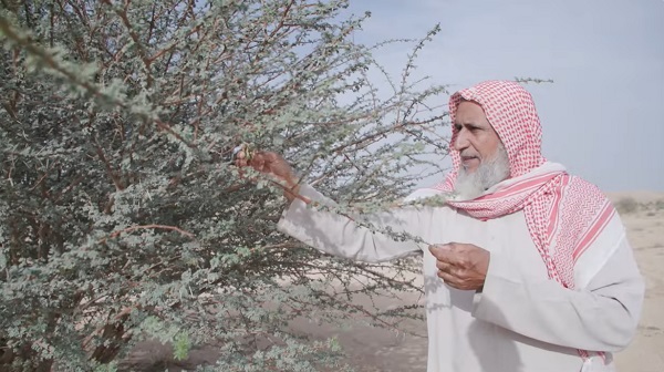 Comunidades combaten la desertificación global