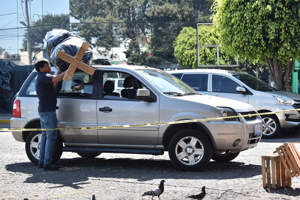Recicla tu árbol y disfruta Africam 2×1:San Pedro Cholula