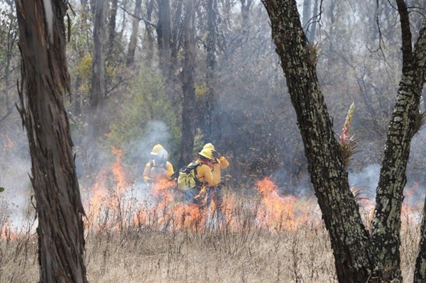Puebla suma 39 incendios forestales en 2025