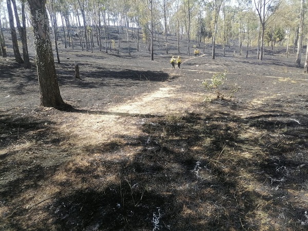 Policía y Bomberos de Cholula sofocan más de 20 incendios en el cerro Zapotecas