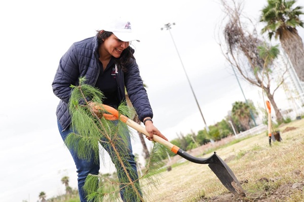 Reforestan San Andrés con 300 árboles más