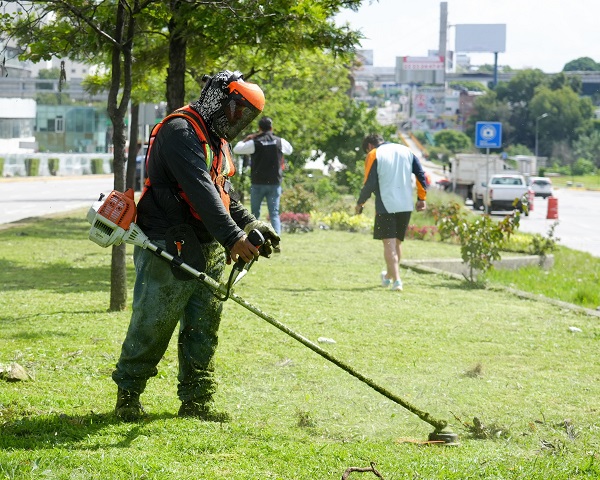 Ayuntamiento de Puebla embellece Vía Atlixcáyotl con jornada integral