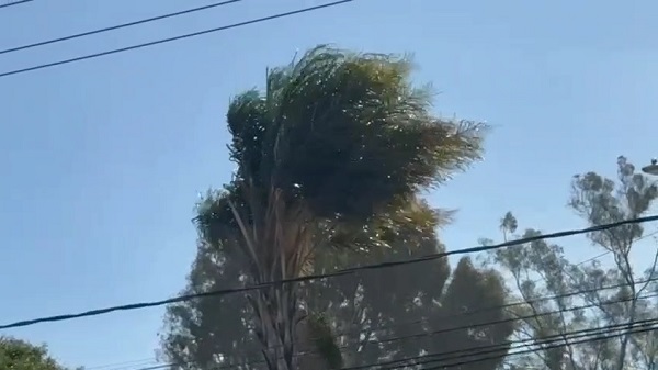 Prevén ráfagas de viento en Puebla capital