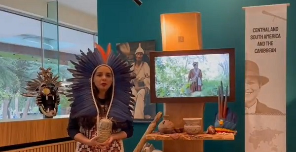 Llevarán cocina indígena a la COP30 en Brasil