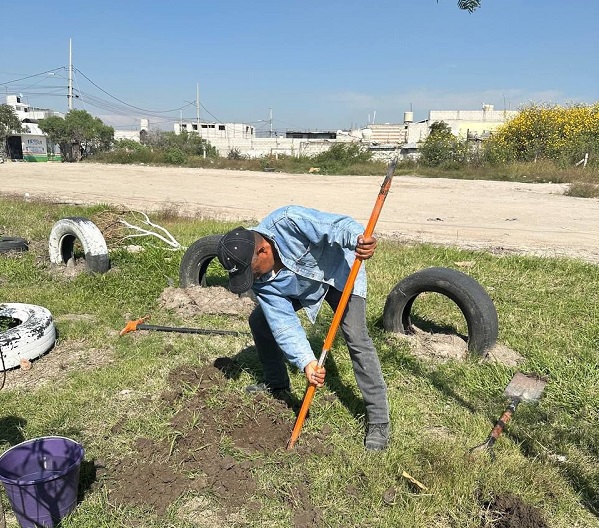 Reforesta Gobierno de la Ciudad con más de 2 mil árboles
