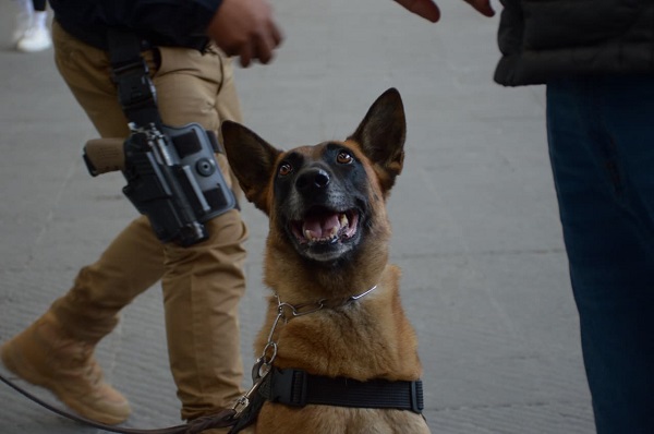 Refuerza SSC seguridad con la unidad K9
