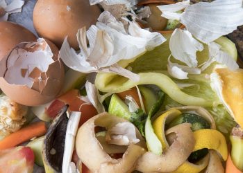 Desperdicio de alimentos: el desafío urgente