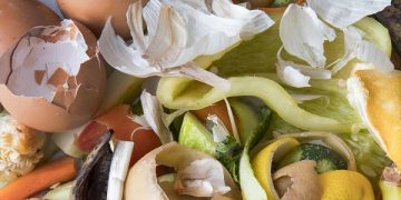 Desperdicio de alimentos: el desafío urgente