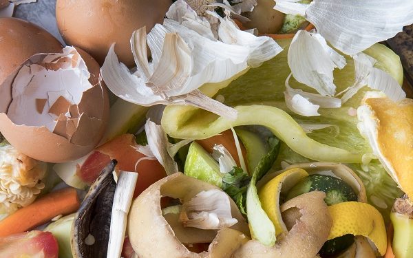Desperdicio de alimentos: el desafío urgente