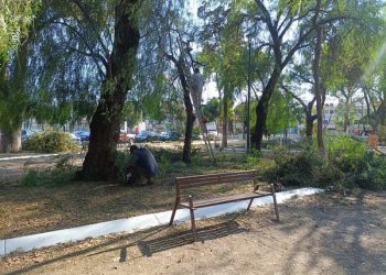 Intervienen más de 460 mil metros cuadrados con poda y chapeo